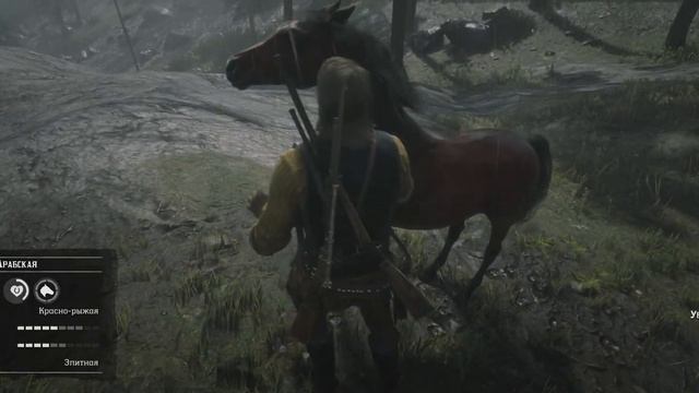 Где найти редкую лошадь Red Dead Redemption 2 смотреть онлайн