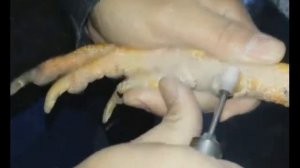 Как уберечь кур от тяжёлых петухов Нужно ли обрезать шпоры, когти? Попоны! Сельская Жизнь