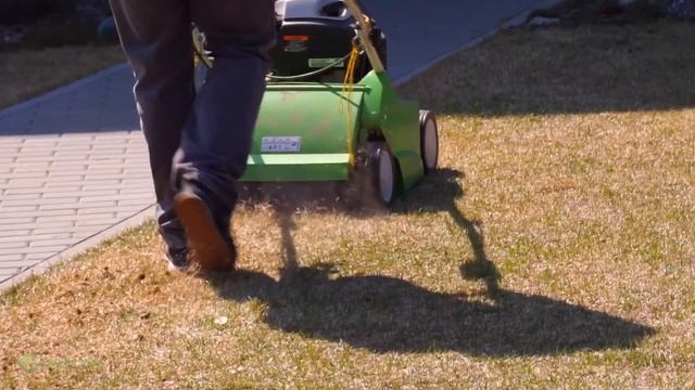 Как правильно ухаживать за рулонным газоном весной смотреть онлайн