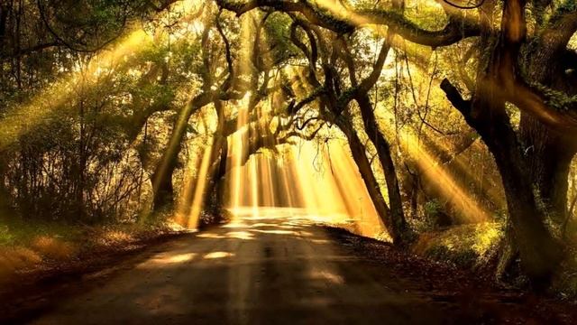 Посланники Андромеды.  Апофеоз борьбы Светлых и темных сил на Земле