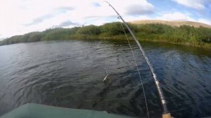 Трофеи на спининг.