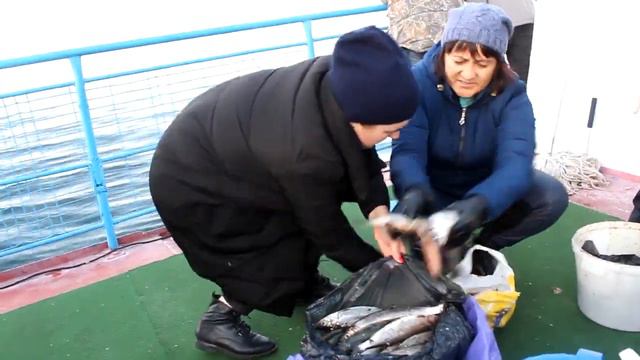 Задержание рыбаков в Листвянке смотреть онлайн