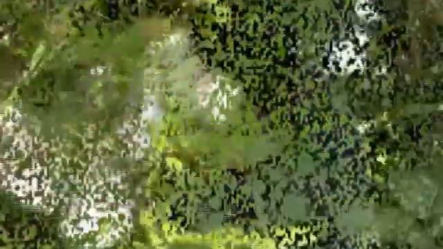 Этот удивительный мир