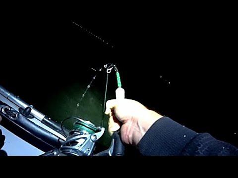 ШОК !!!! ЖОР МОНСТРОВ С РОСТ И ВЕС ЧЕЛОВЕКА !!!!! СТАЛО ПЛОХО ОТ ПЕРЕВОЛНЕНИЯ !!!! РЫБАЛКА НА СОМА! смотреть онлайн