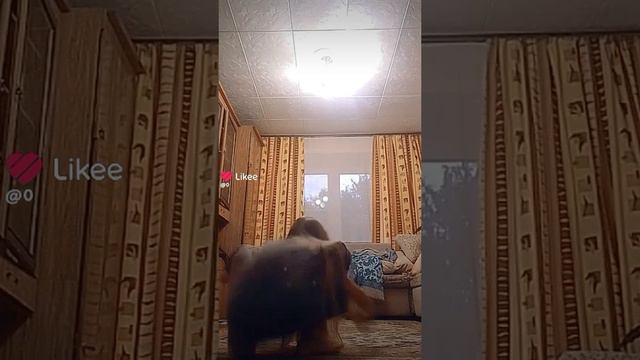 танцы в футболке смотреть онлайн