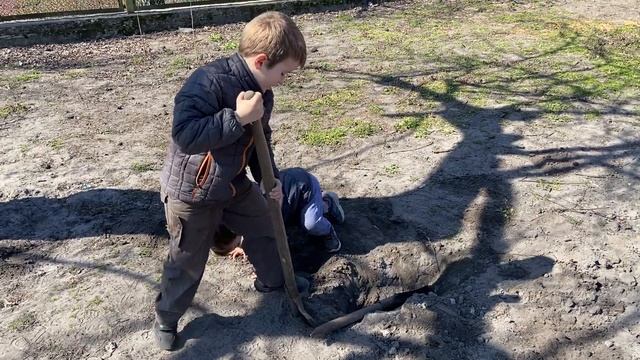 Копаем яму смотреть онлайн