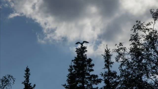 Живи, родник, живи. Усть-Уса летом. смотреть онлайн