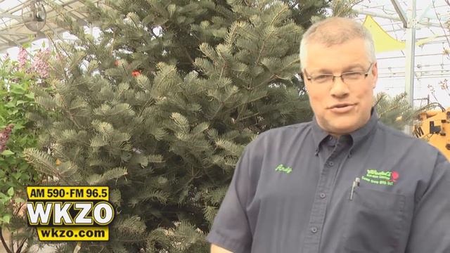 Wedels Garden Center Gears Up for Annual Southwest Michigan's Flower and Garden Show смотреть онлайн