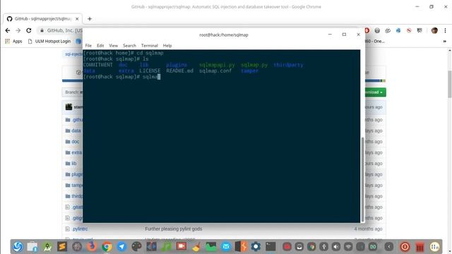 INSTALANDO SQLMAP EM 2 MINUTOS смотреть онлайн