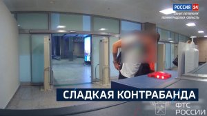 ВЕСТИ 24 Санкт-Петербург от 13.02.2024