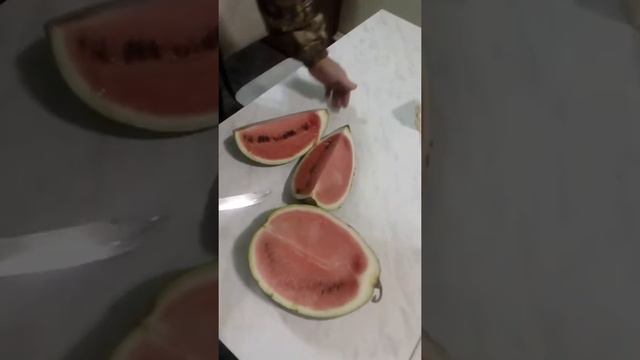 Свежий арбуз в январе смотреть онлайн