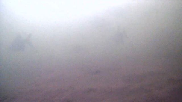 Стрелецкий ручей под водой смотреть онлайн