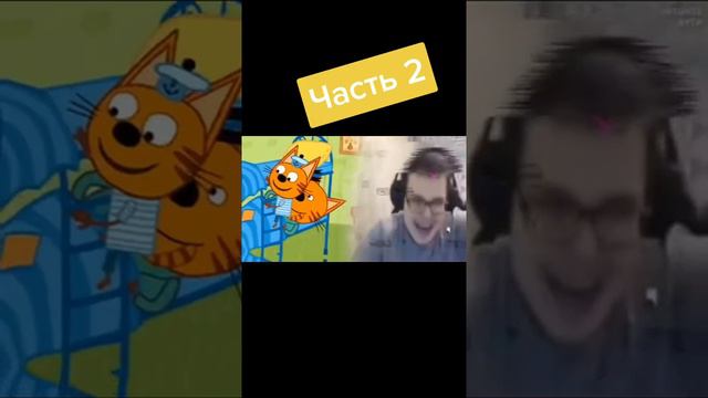 РТП 3 КОТА. МЕМЫ И ПРИКОЛЫ 3 КОТА. смотреть онлайн