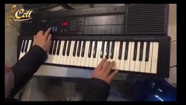 review test đàn organ casio CTK530, chức năng, chất lượng âm thanh, demo tiết tấu dance tiếng смотреть онлайн