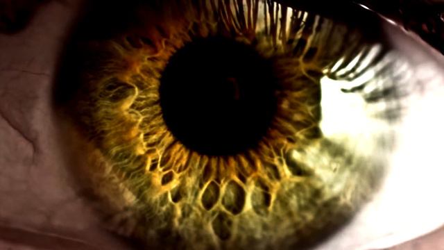 ECHO SAX END but it sounds like Øneheart смотреть онлайн