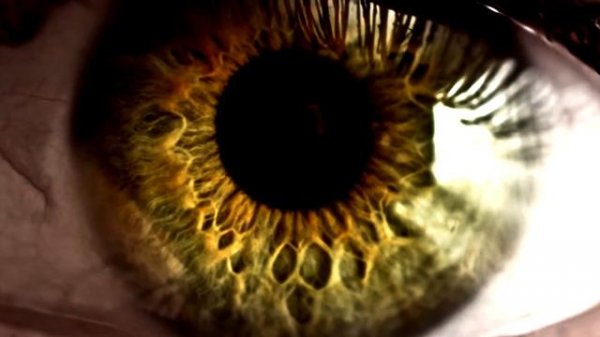 ECHO SAX END but it sounds like Øneheart