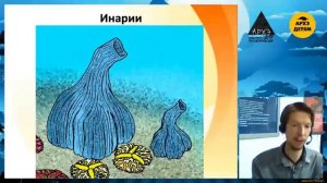 640-540 Протерозой_Эдиакарский период (Попов)