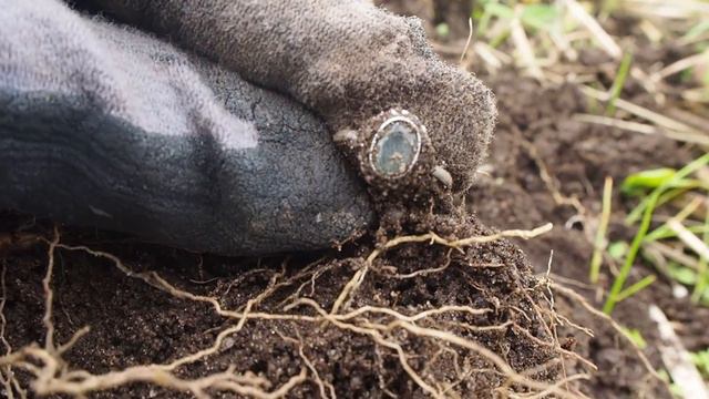 Krass! MEGA FUND !! Wie alt kann das sein?? SONDELN - Schatzsuche mit Metalldetektor смотреть онлайн