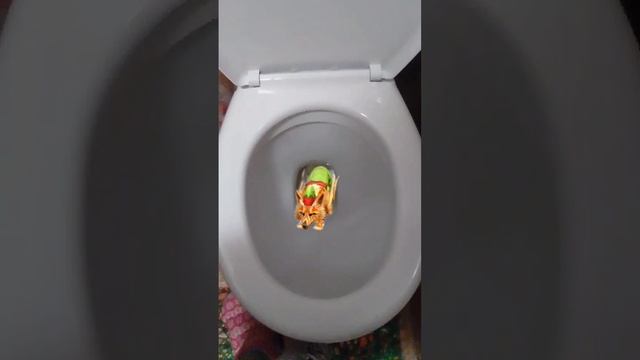 меня смыли в унитаз ?????? смотреть онлайн