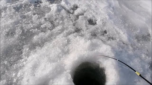 РЫБАЛКА на Воронежском водохранилище, 08.02.2023 года смотреть онлайн