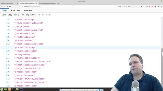 Spring Boot Actuator JMX and Metrics смотреть онлайн