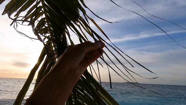 Мальдивы. Fihalhohi Island Resort. Начинаем поиски черепахи смотреть онлайн