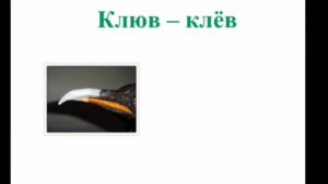 Логопедическое занятие по коррекции акустической дисграфии Дифференциация звуков.