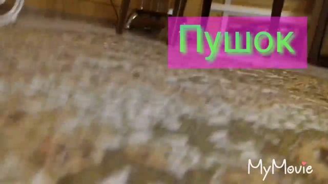 Новый питомец?!? Кто же это? Nyan Cat смотреть онлайн