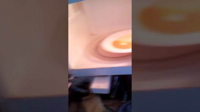 Кпк приготовить яйца в микроволновке смотреть онлайн