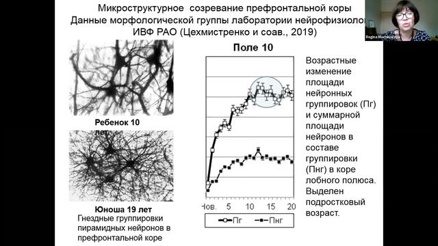 МККН-2020 | Когнитивное развитие и обучение (13 Октября) смотреть онлайн