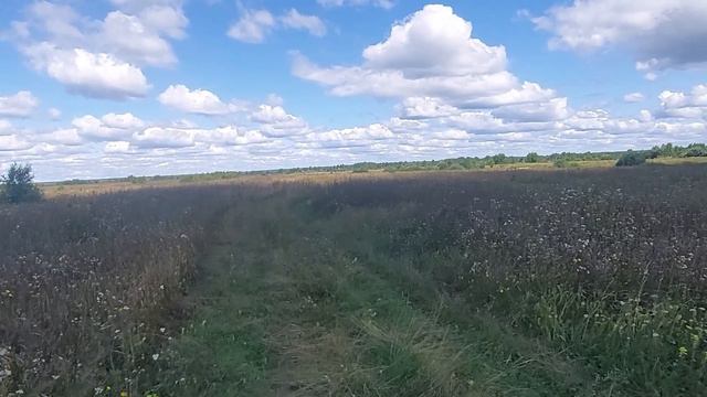 Река Ржавец (Ржавица)