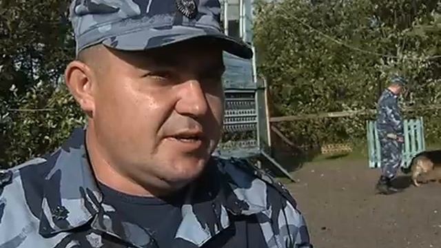 Как не потерять собаку в лесу?