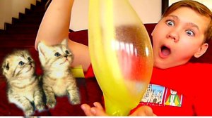 Мои КОТЯТА хотят стать СЛАЙМЕРАМИ?! А может быть они хотят СЛАЙМ СЪЕСТЬ?