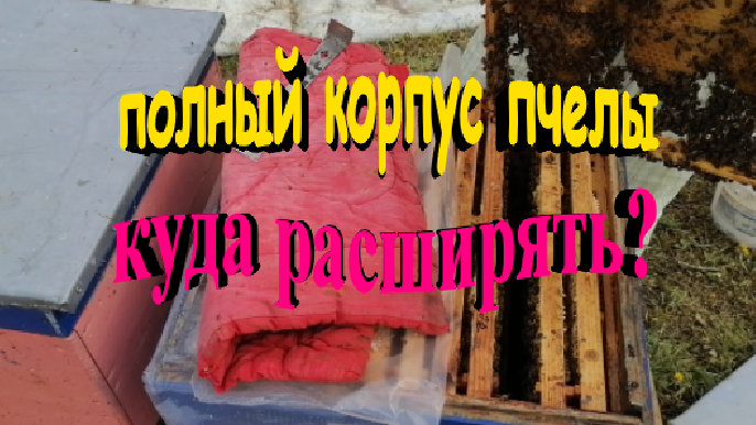Полный корпус пчелы. Куда расширять Постановка второго корпуса смотреть онлайн
