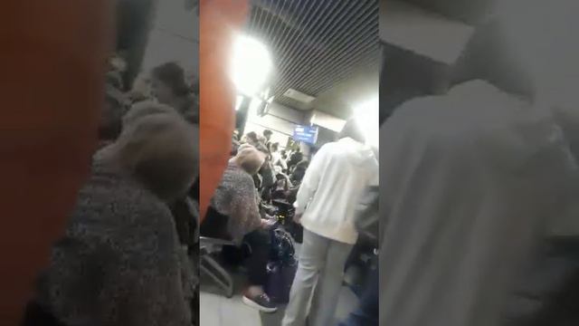 19 марта 2023 год, Аэропорт Сочи, люди вторые сутки не могут вылететь в Москву, представителя УА не смотреть онлайн