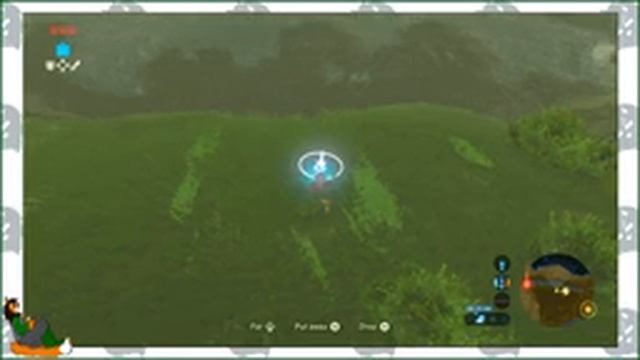 Mage Challenge Run Idea-BoTW Mage Run: Part 1 смотреть онлайн