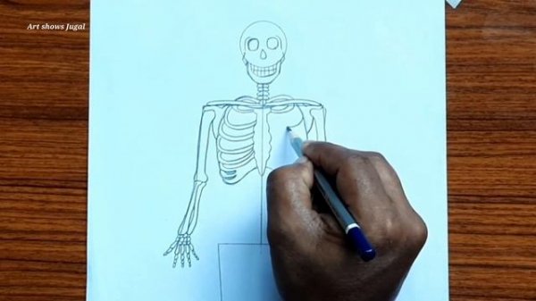 How to draw human skeleton | Human anatomy drawing | Skeleton drawing very easy