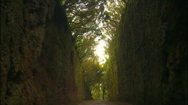 Passionate spain Relaxation Video Peaceful Music 4k Ultra HD Video 스페인 смотреть онлайн