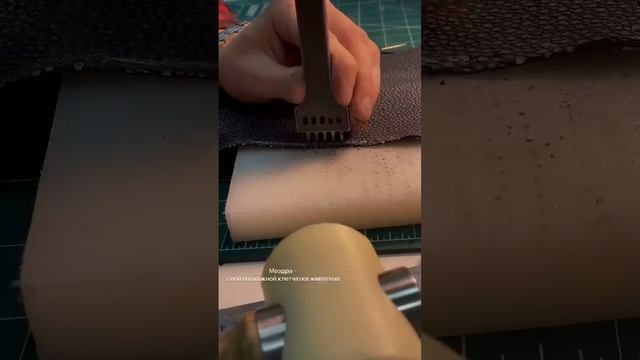 Клатч из кожи морского ската смотреть онлайн