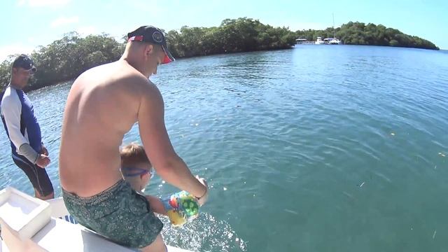 День рождения на Кубе. Купание с дельфинами. Морская экскурсия. смотреть онлайн