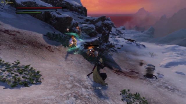 Skyrim Follower: Nether's Jen