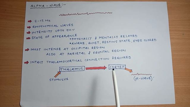 EEG and Brain waves смотреть онлайн