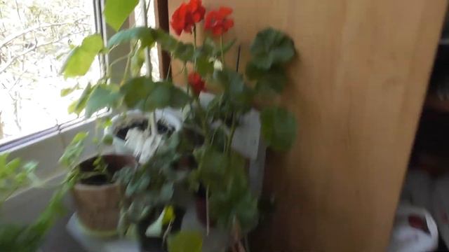 VLOG/ НЕОЖИДАННЫЙ ВЫХОДНОЙ/БАБ НАДО ВО ВРЕМЯ ВЫГНАТЬ/ 3 июня 2021 г смотреть онлайн