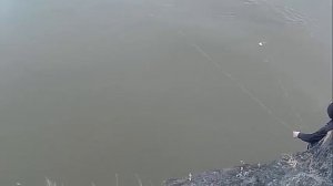 Хапуга хлопок, техника заброса хапужки с берега, Рыбалка по открытой воде