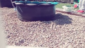 На даче? Красим клумбы? Клумбы для цветов из покрышек? #дача #семьяраспутиных #надаче наша жизнь.