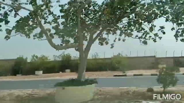 ROAD TRIP /CAIRO INTERNATIONAL AIRPORT CAIRO EGYPT GOING BACK TO DUBAI смотреть онлайн