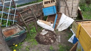 Роение пчел. Простой способ выхода пчел из роевого состояния методом деления