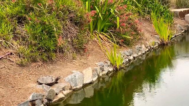 Playa Vista Central Park, Los Angeles смотреть онлайн