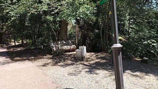 Грузия. Тбилиси. Ботанический сад смотреть онлайн