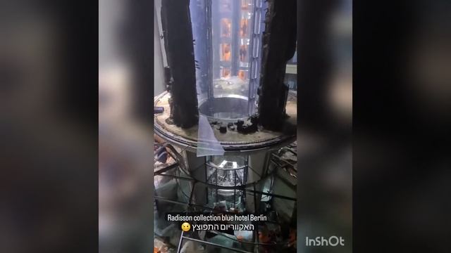 В Берлине лопнул гигантский аквариум смотреть онлайн